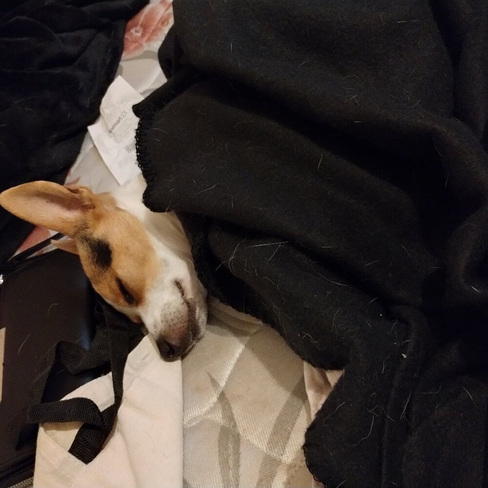 In need not selling don't want to lie sorry